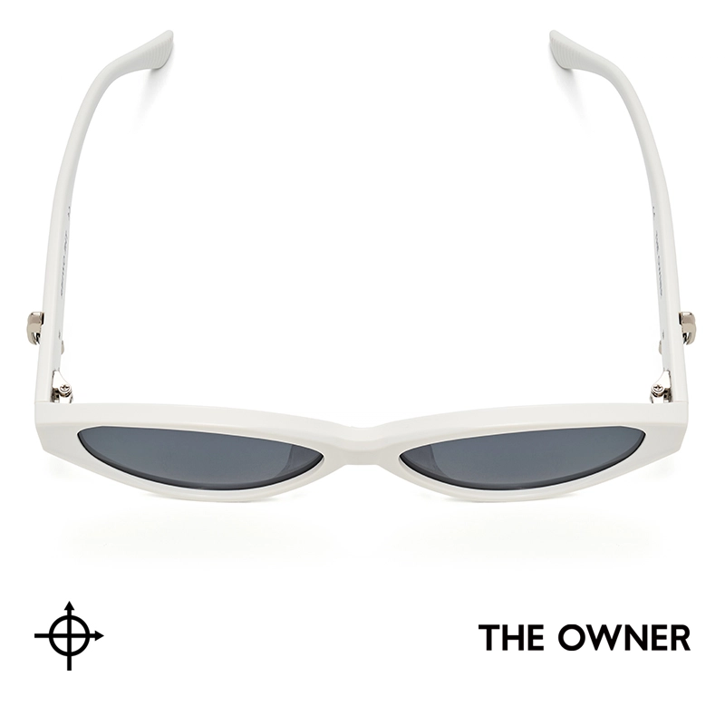 THE OWNER