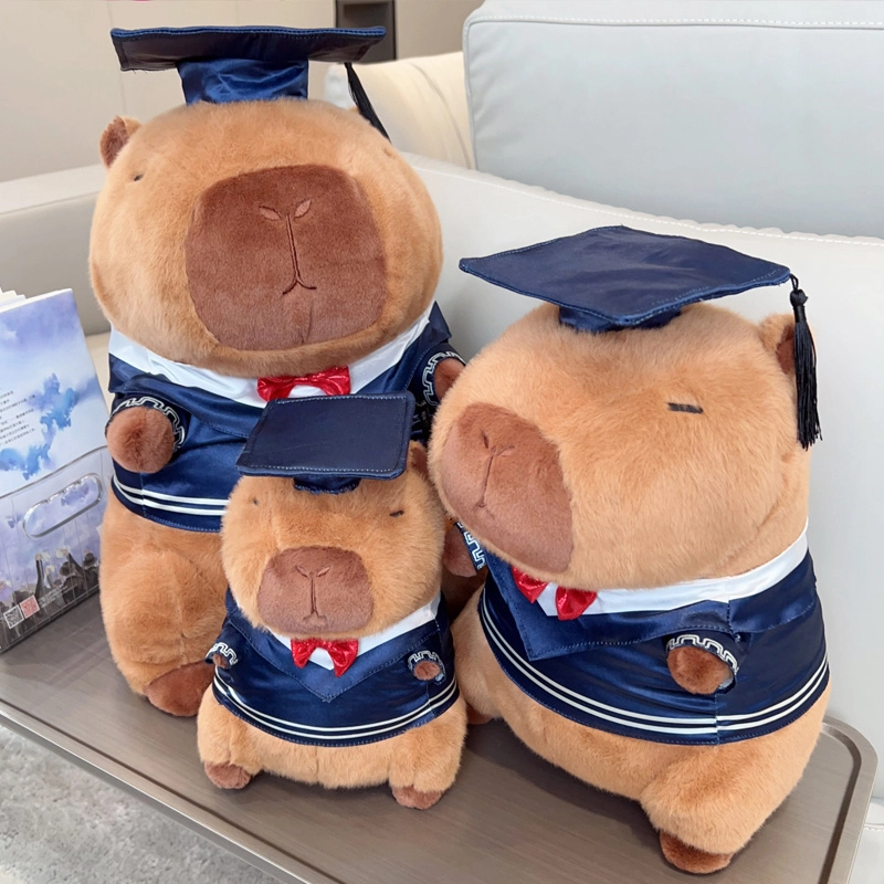 25cm35cm48cm