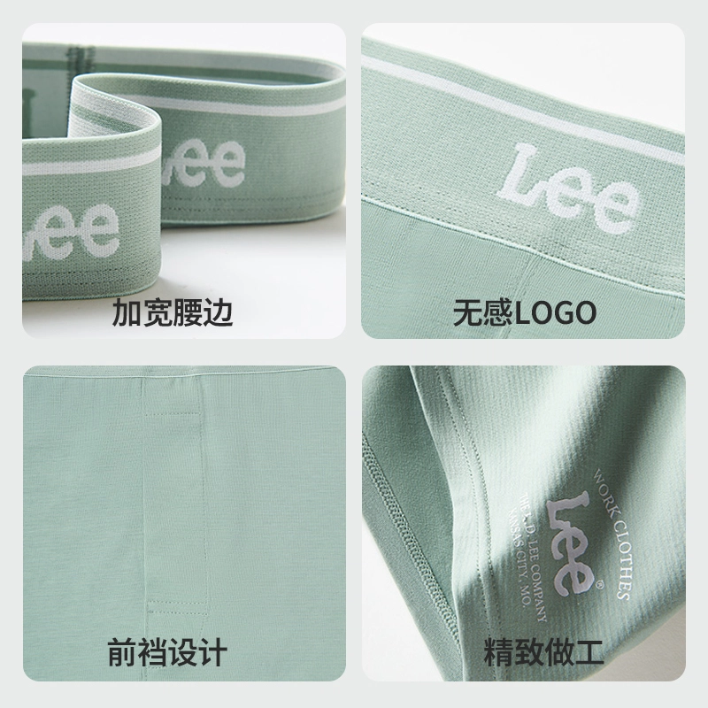 Lee 3