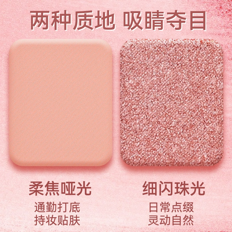 拉美拉 十色眼影盘 易上色细闪哑光珠光 一盘多用多色