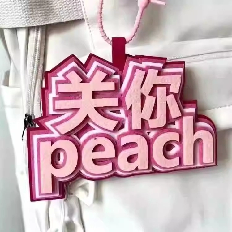 丹琴 我补药上学创意搞怪包包字牌挂饰搞笑发疯文学系列书包背包 毛毡 挂件 男女同款情侣款