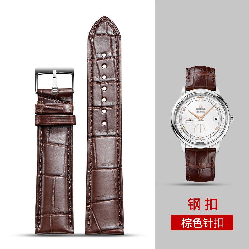 QIAOMISHIOmeg