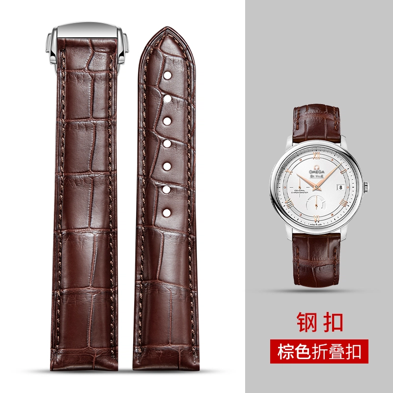QIAOMISHIOmeg