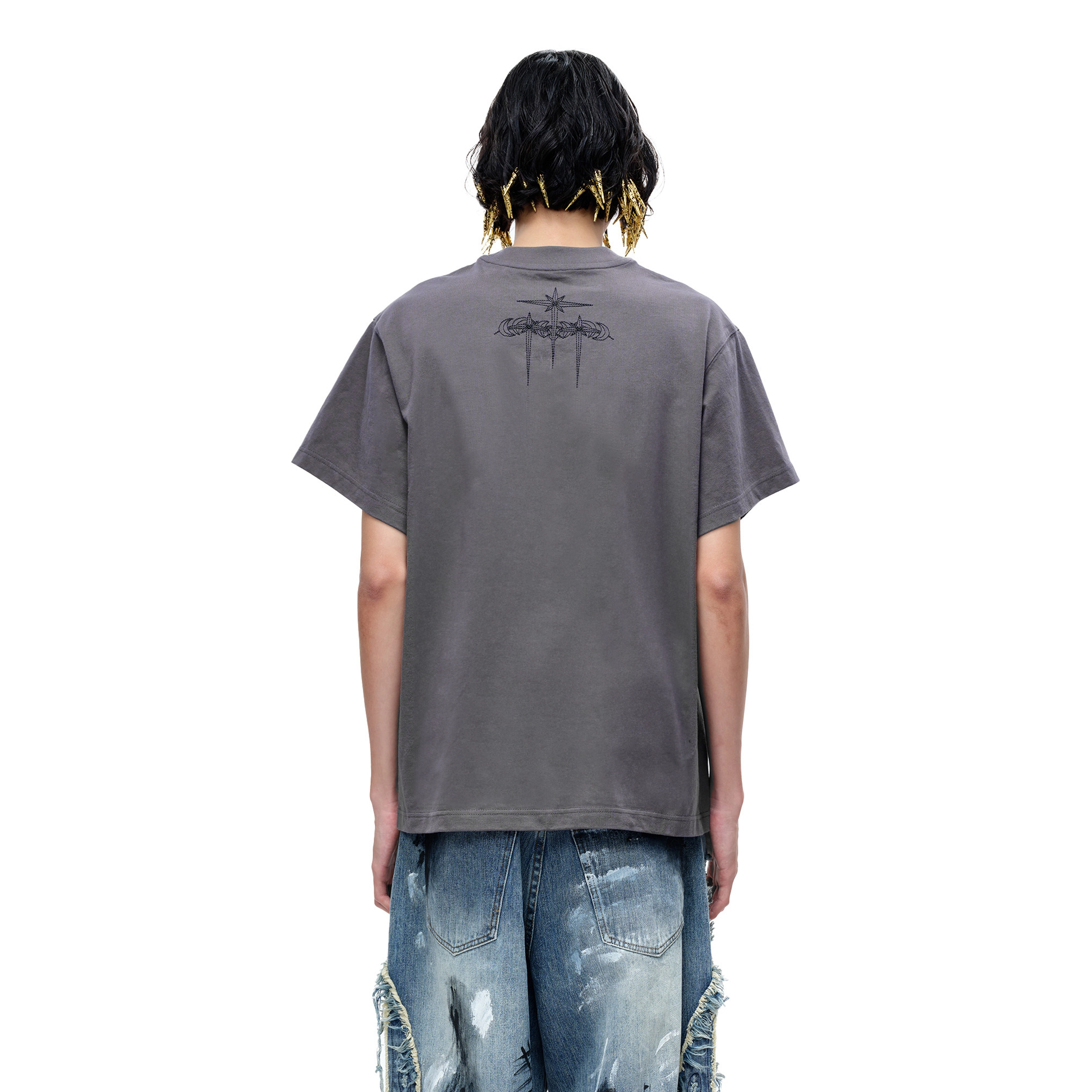 TBHNP logo T