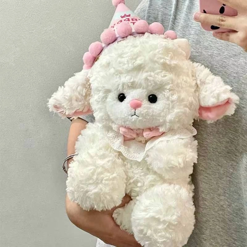 22cm32cm45cm25cm