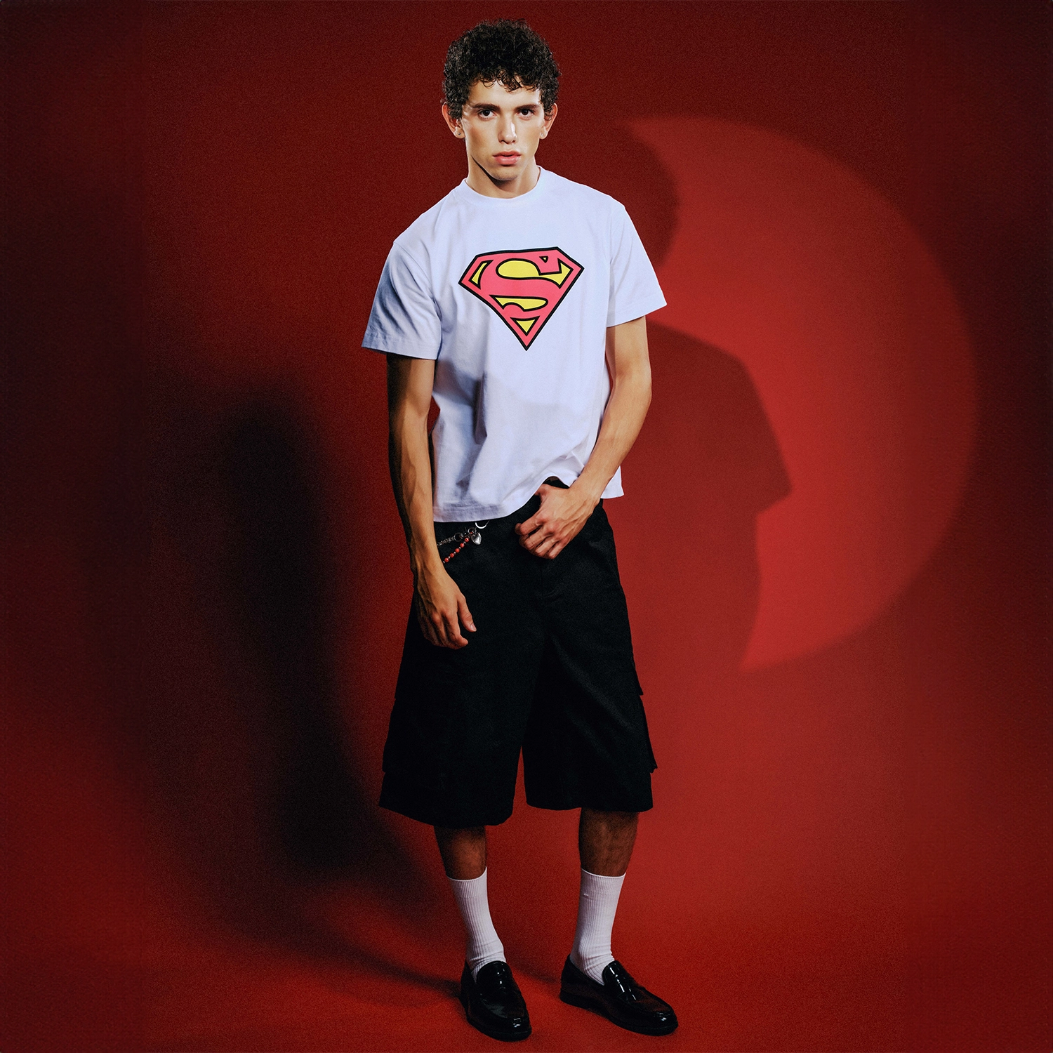 WHOOSIS SUPERMAN logoT