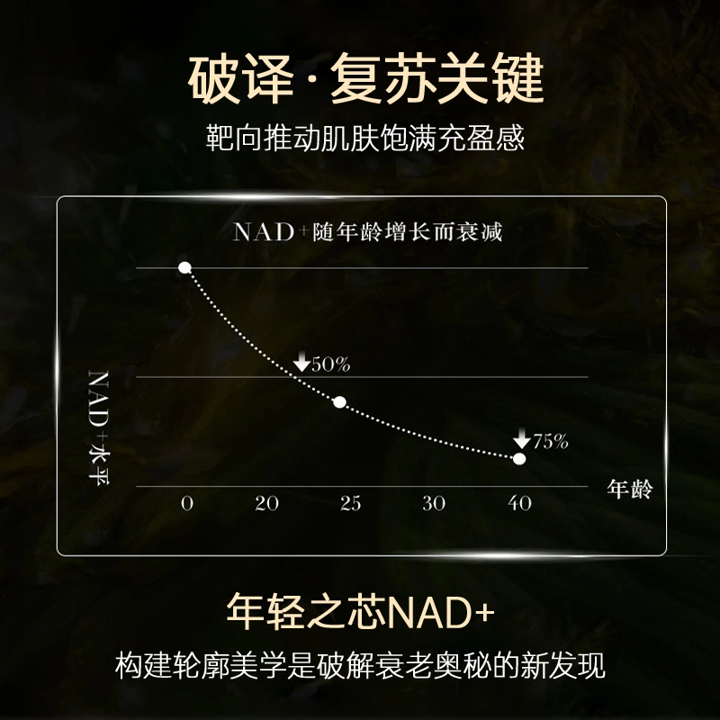 LANTERN NAD+ 30g