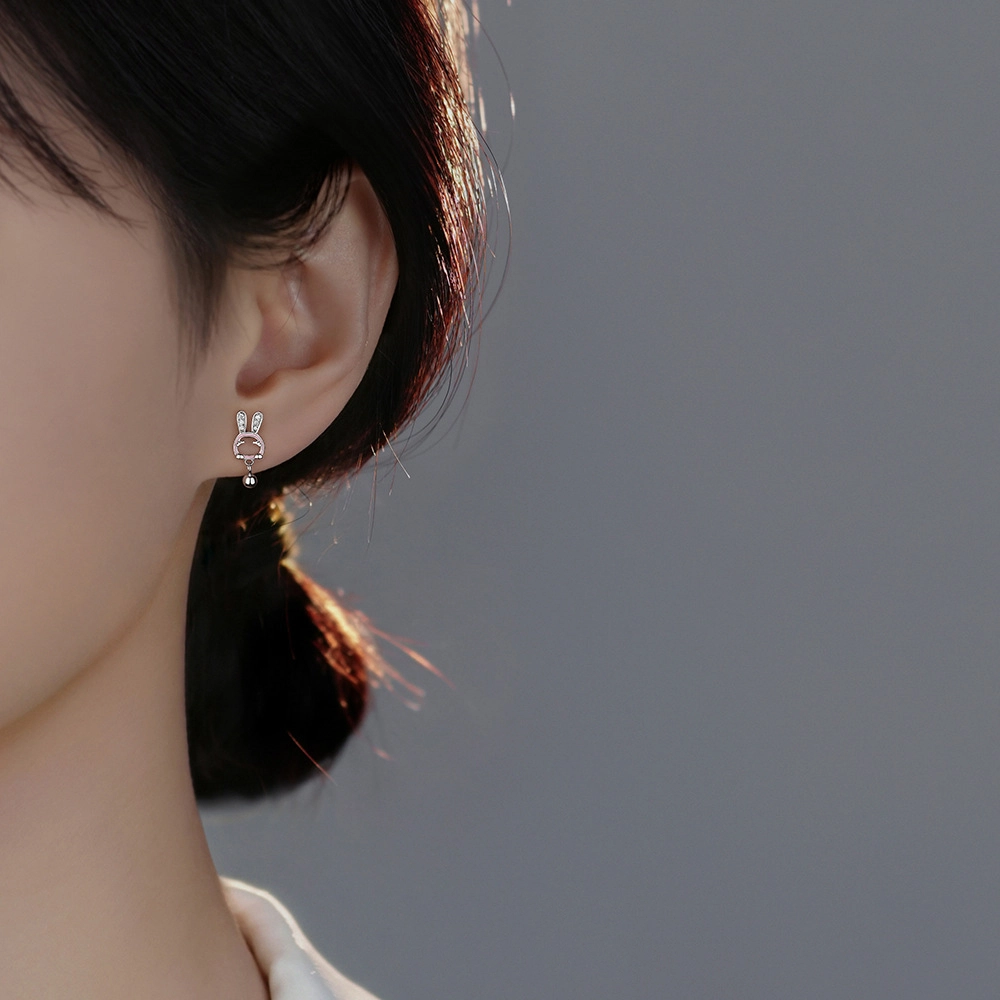 SHK S999 ins12