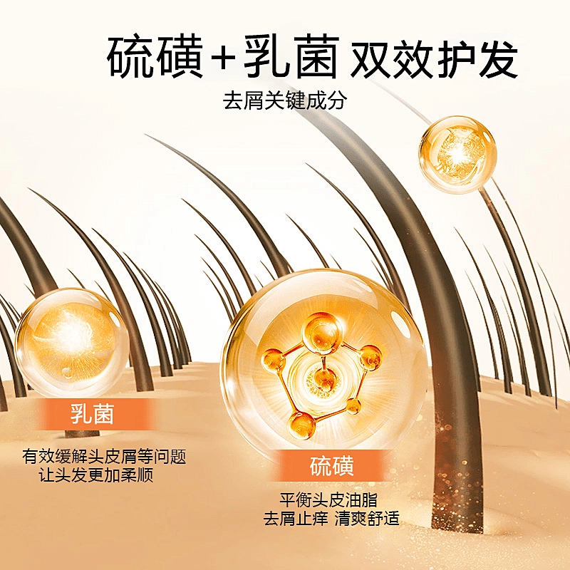 倾颜 人参除螨硫磺控油去屑洗护套装 保湿修护滋润清爽