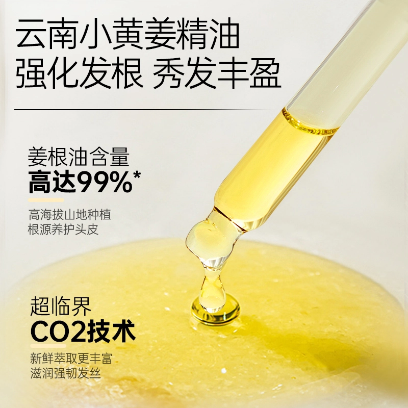 ACCEN 250g*2