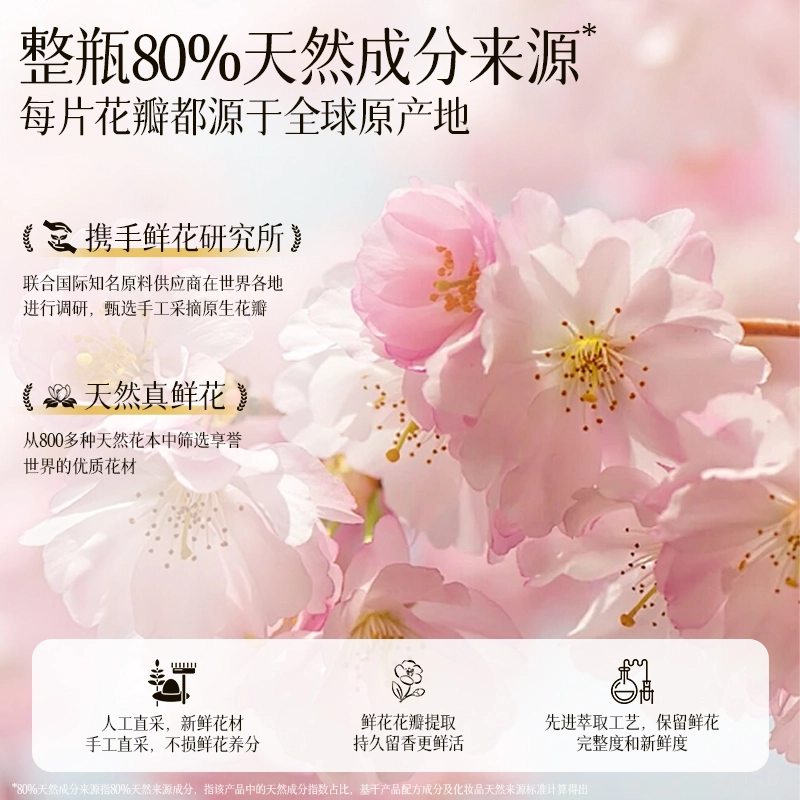 ACCEN 400g