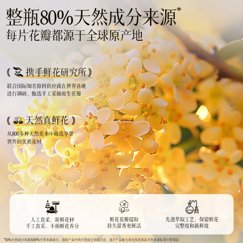 ACCEN 400g