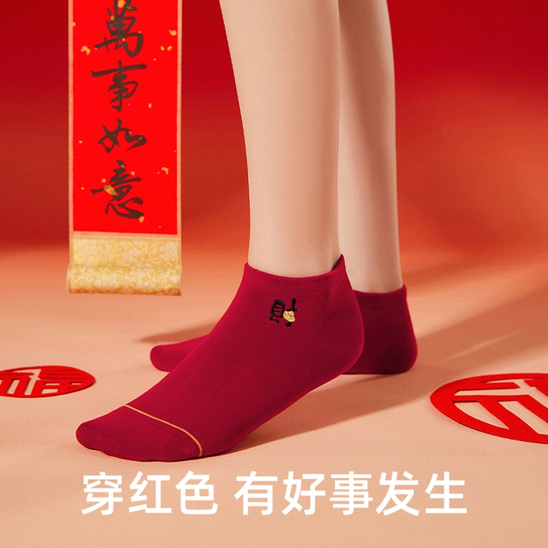 JIAZINI 5