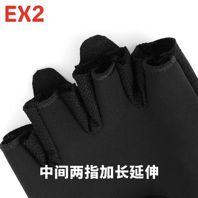 EX2