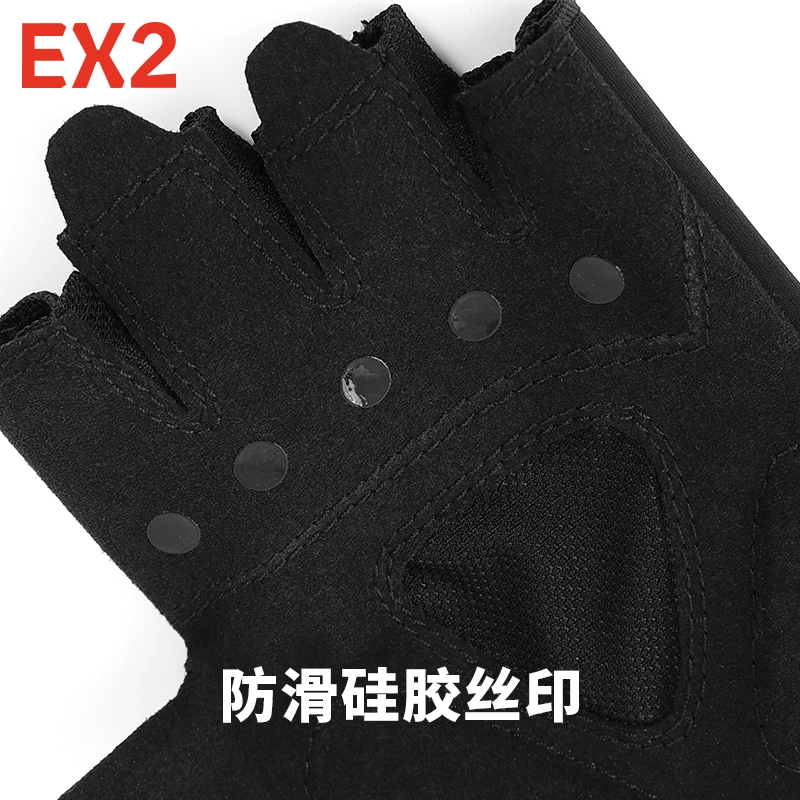 EX2