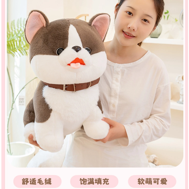 25cm35cm45cm