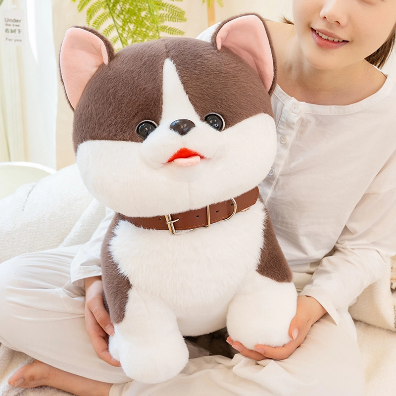 25cm35cm45cm