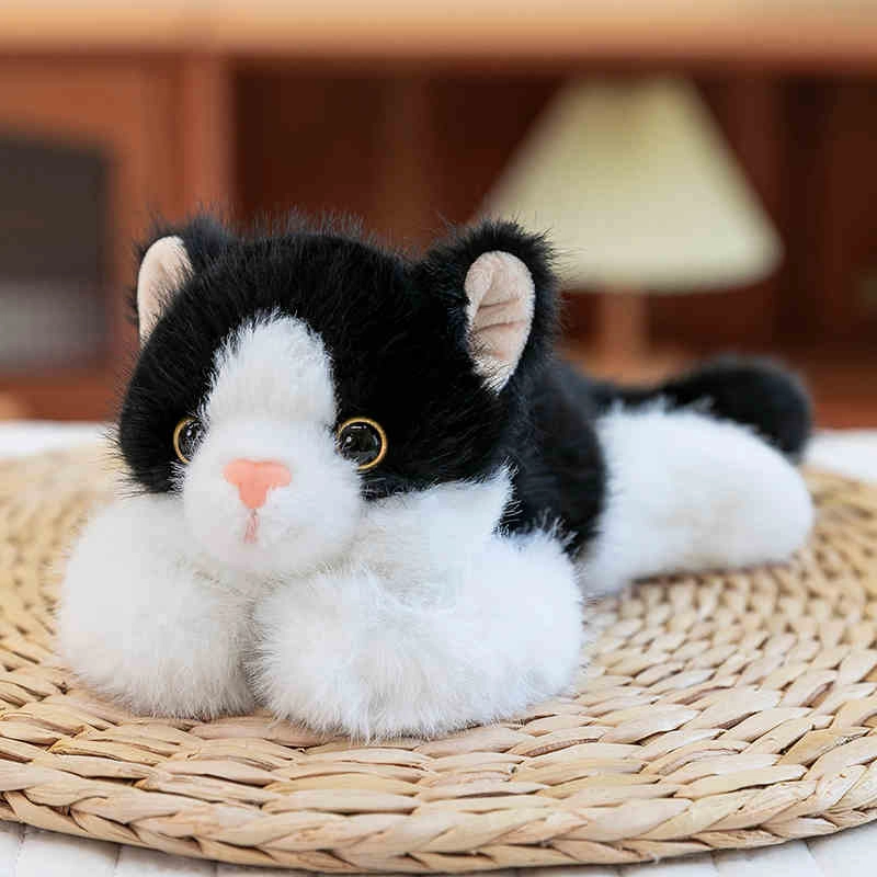 18cm