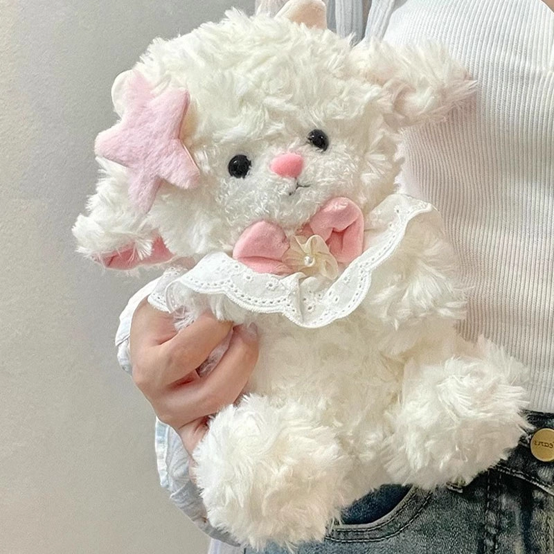 25cm