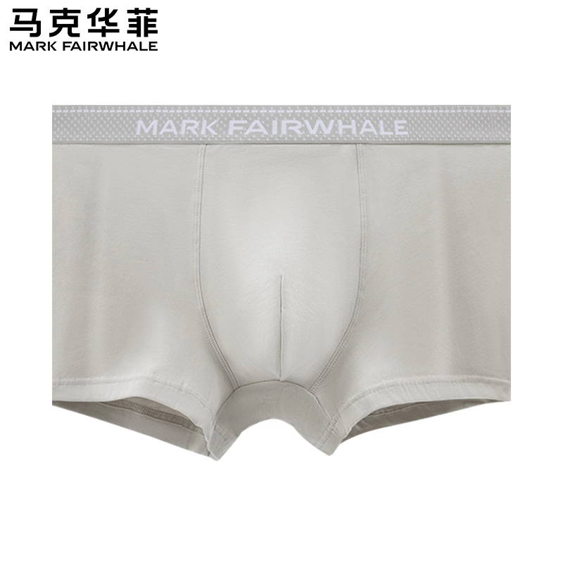 FAIRWHALE 4