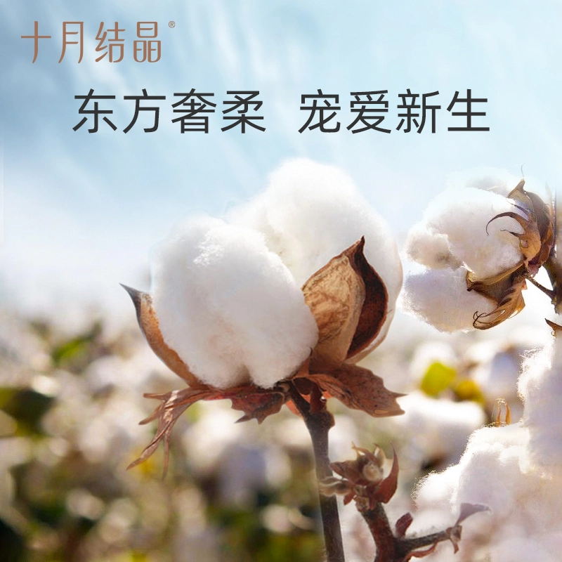 十月结晶 纯棉时尚柔软亲肤洋气百搭连体衣 婴幼童
