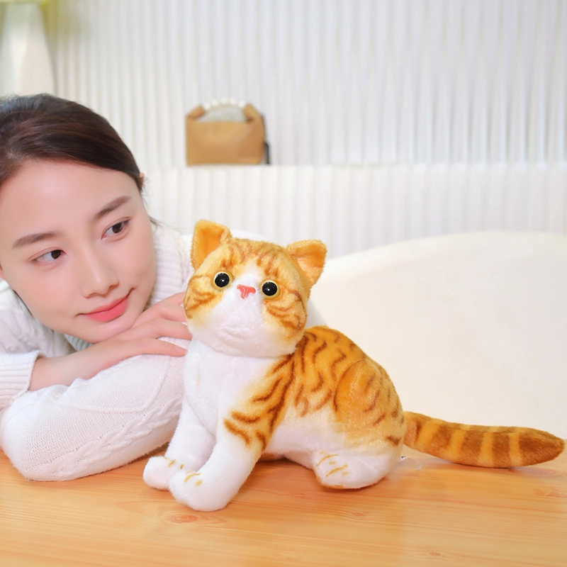 26cm
