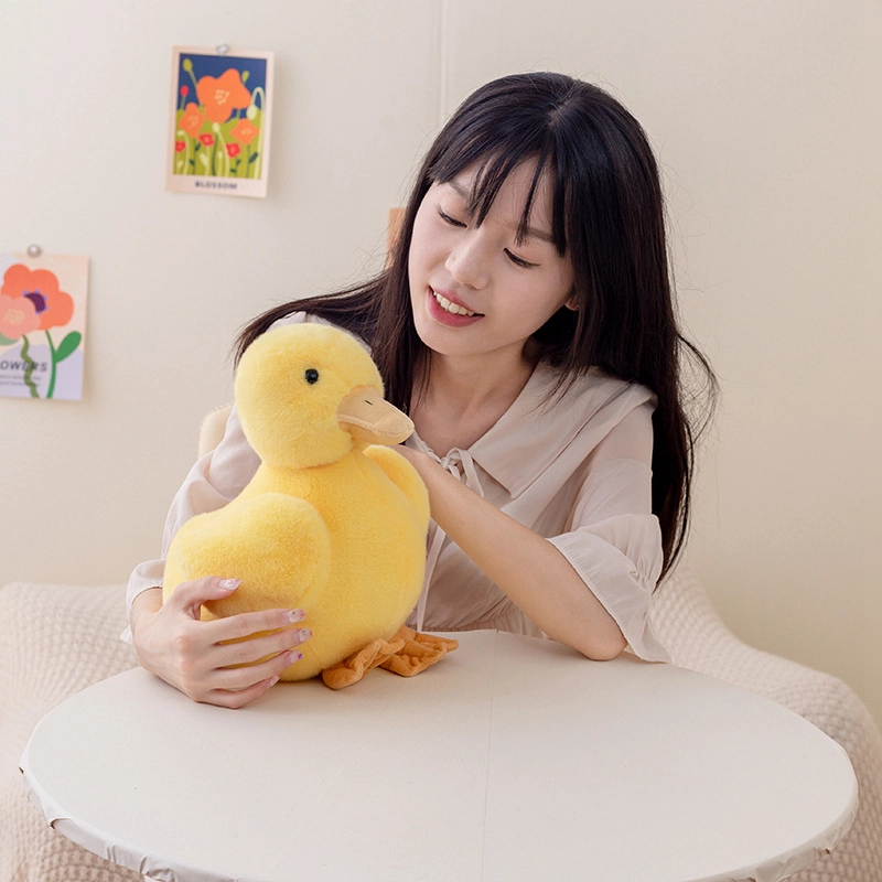 20cm30cm