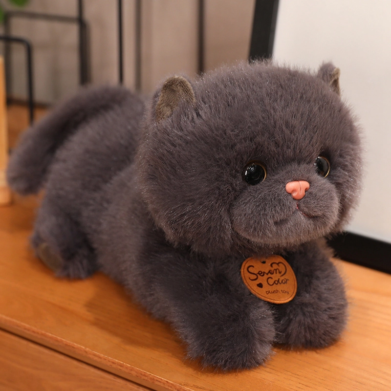 25cm35cm