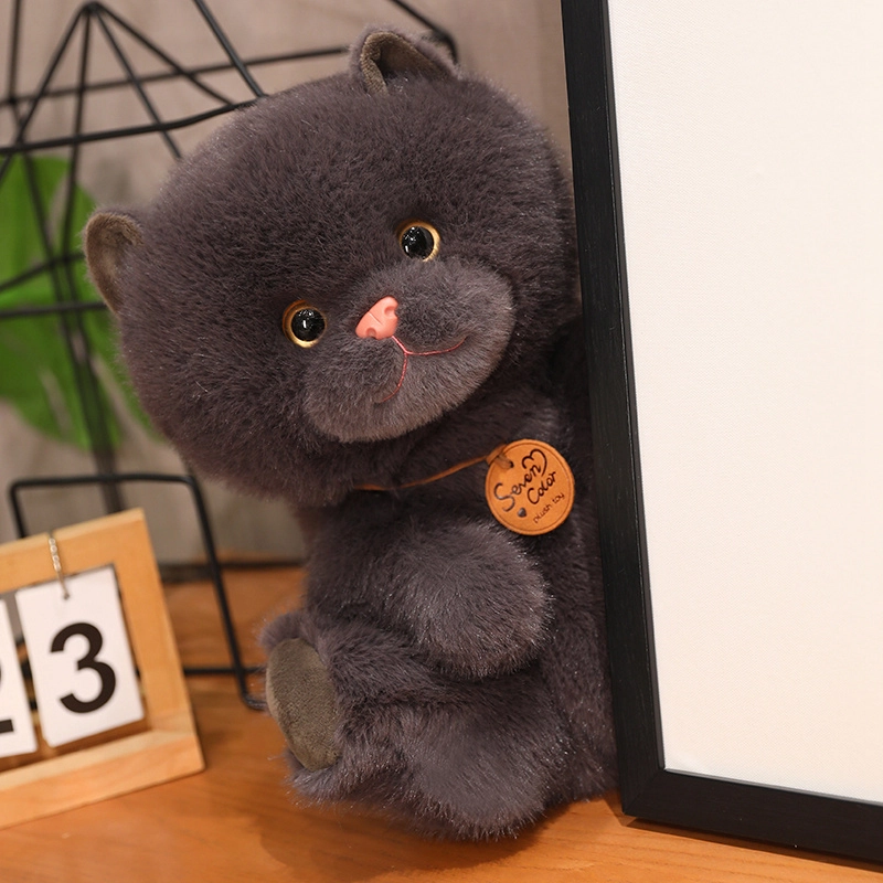 25cm35cm