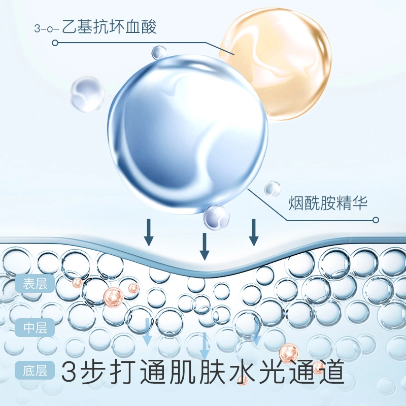 TWG B5 300ml