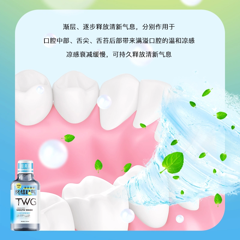 TWG 300ml