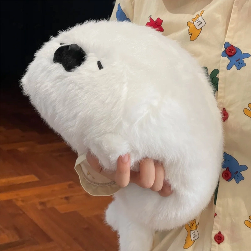 40cm70cm