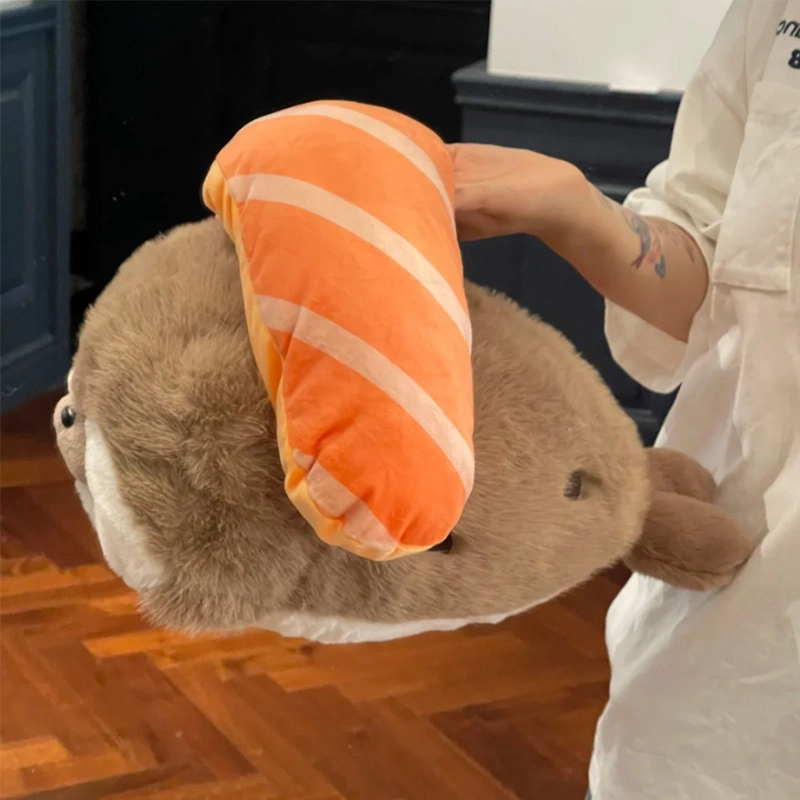 40cm70cm