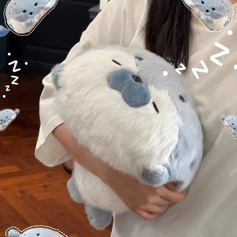 40cm70cm