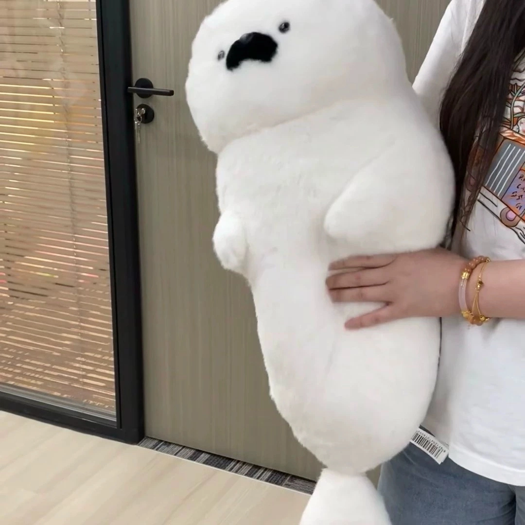 40cm70cm