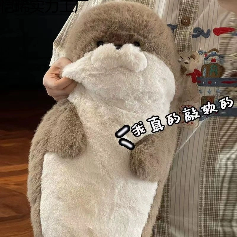 40cm70cm