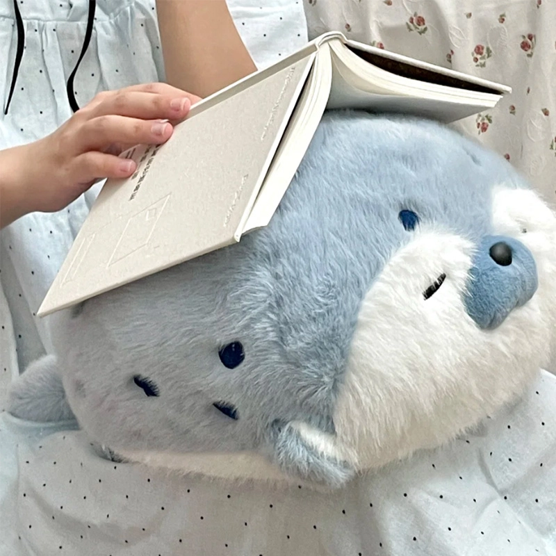 40cm70cm