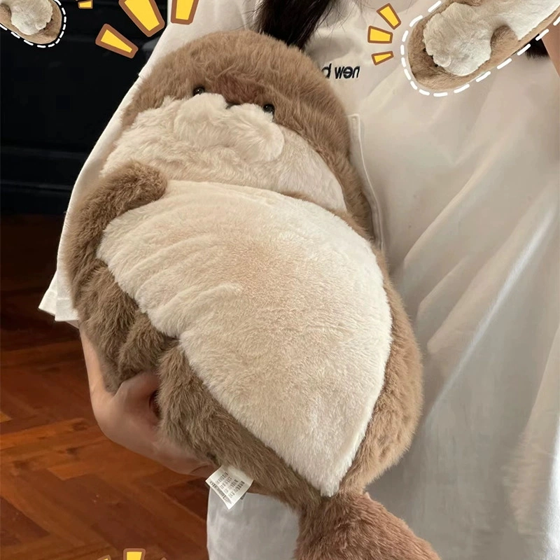 40cm70cm