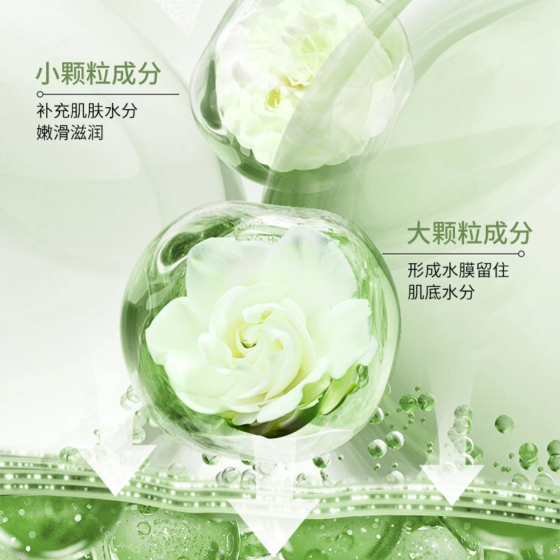 上朵 山茶花沁透舒缓护肤套装 保湿滋润补水 六件套