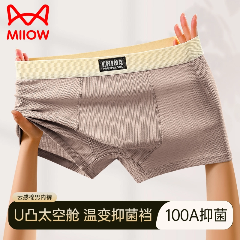 MIIOW 100A 3