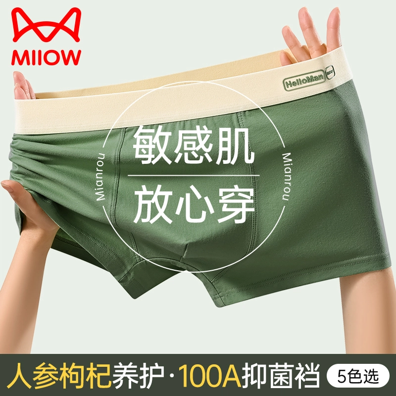 MIIOW 100A 3
