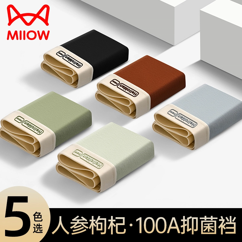MIIOW 100A 3