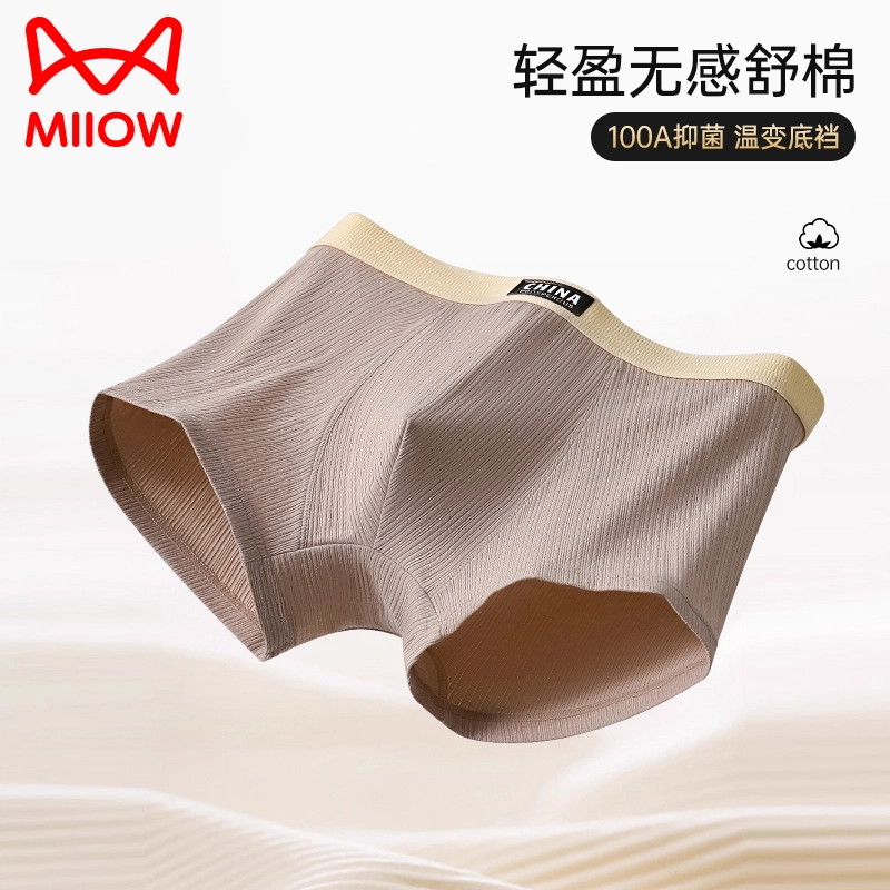 MIIOW 100A 3