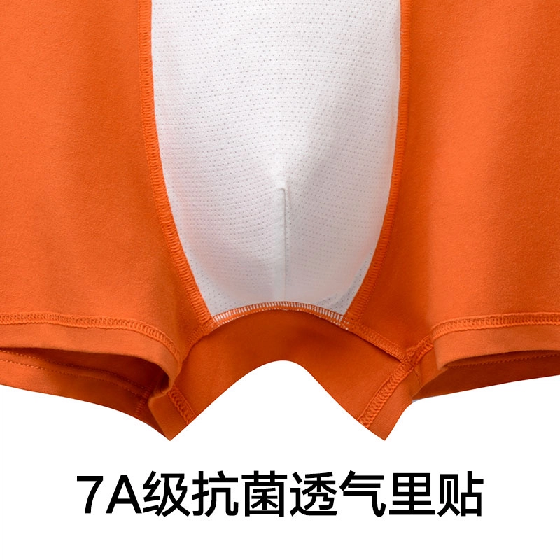 Lee 2