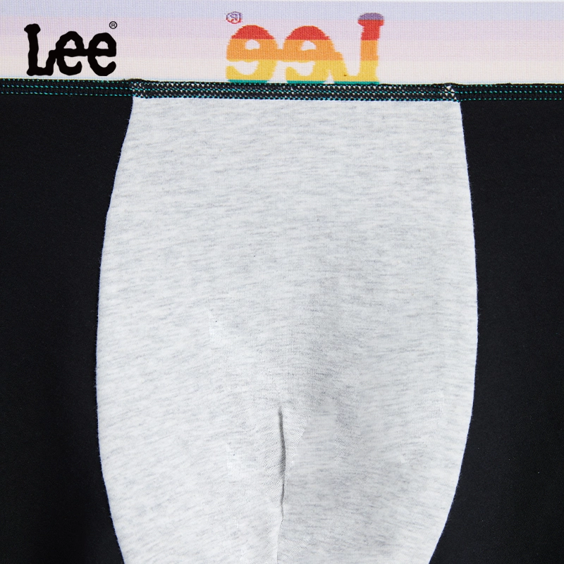 Lee 3