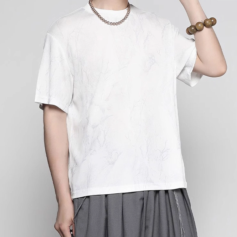 RAYSHOW T