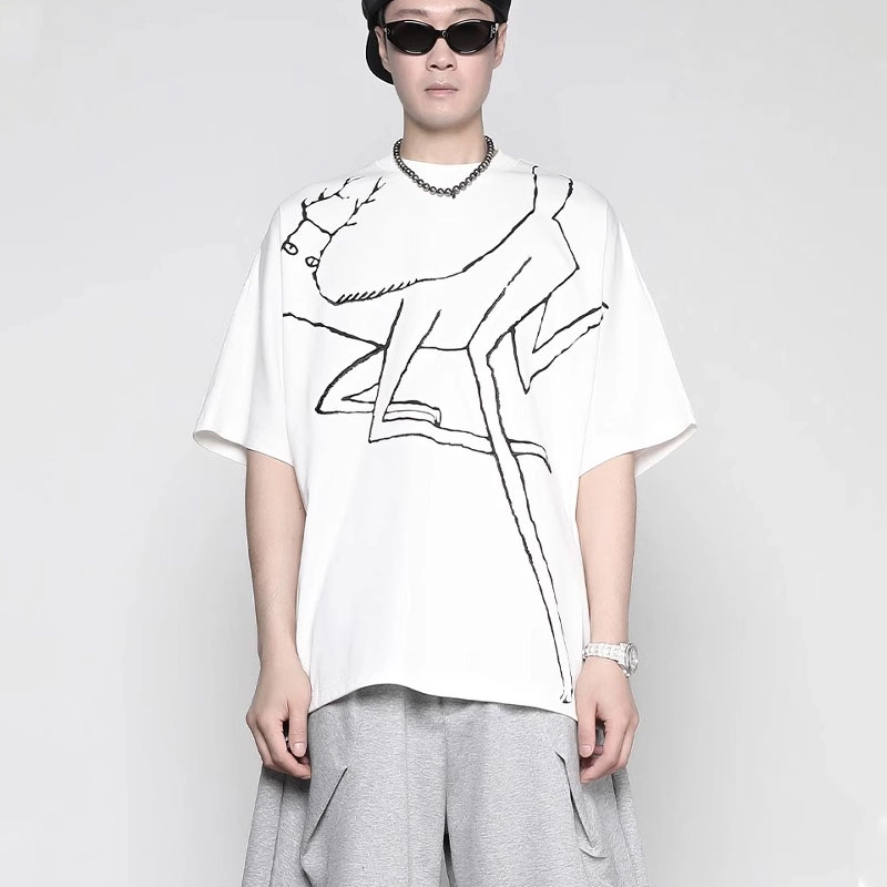 RAYSHOW T