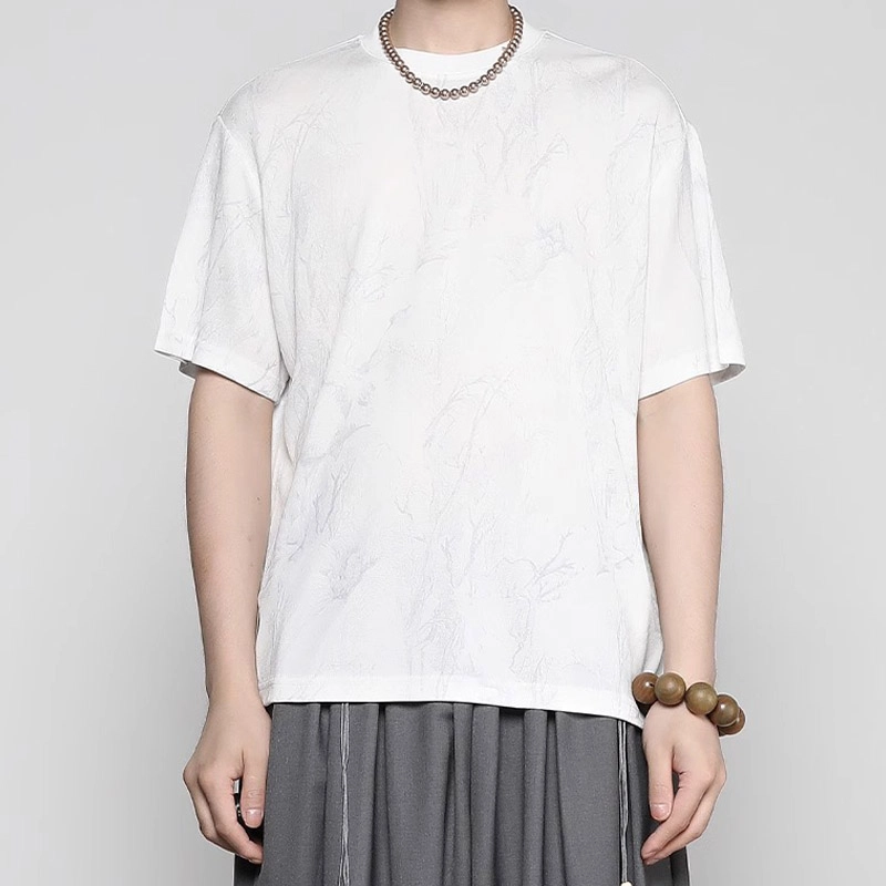 RAYSHOW T
