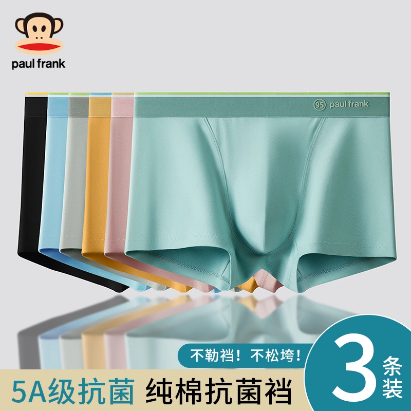 PAUL FRANK 7A 3