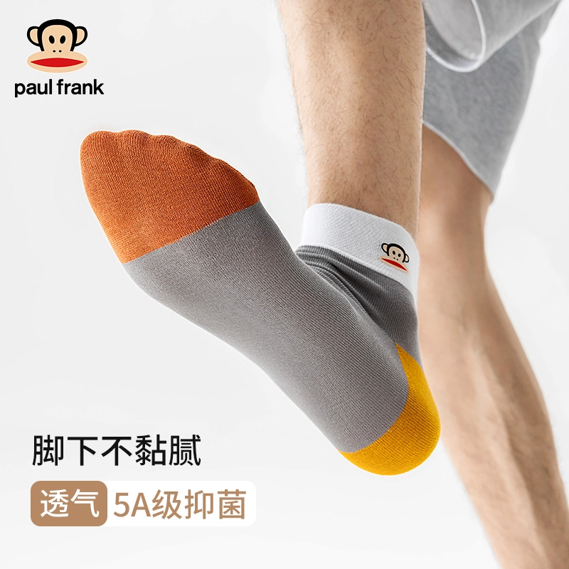 PAUL FRANK 5